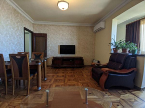 Просторная Квартира в Самом Центре Еревана
